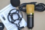 Купить Студийный конденсаторный микрофон BM700 detaluhi.ho.ua Интернет магазин в Каменец-Подольском, устройства, радиодетали, интсрументы.
